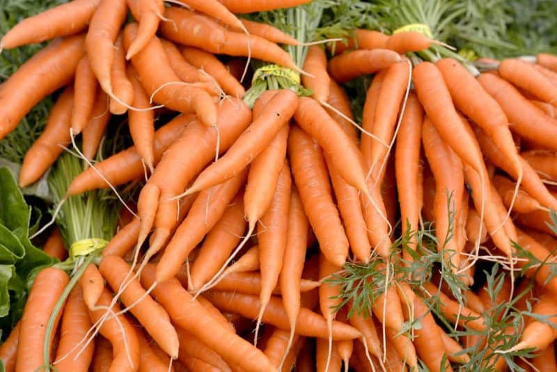 Zanahorias, fuente de beta-caroteno