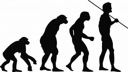 Ilustración evolución humana