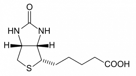 Biotina (Vitamina B7)