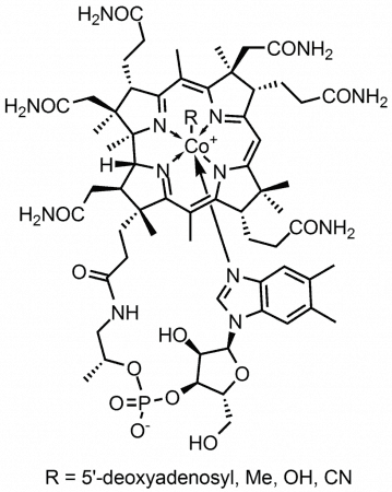 Cobalamina (Vitamina B12)