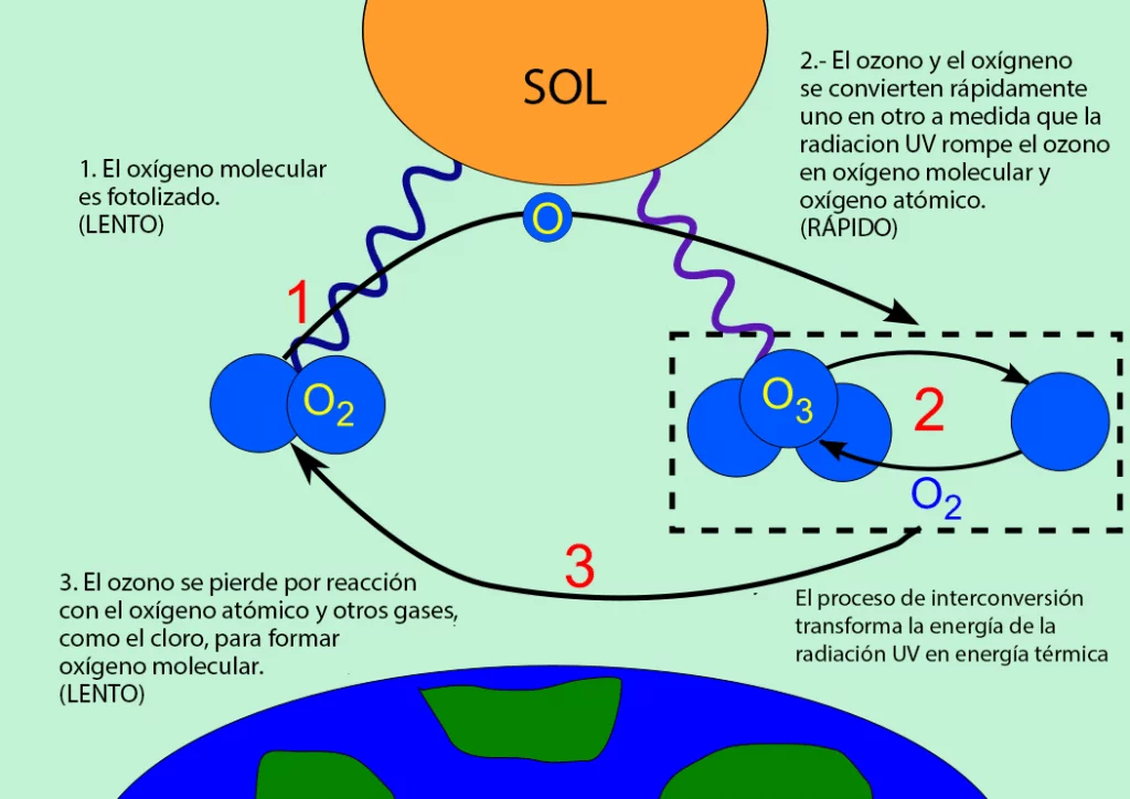 Ciclo ozono-oxígeno