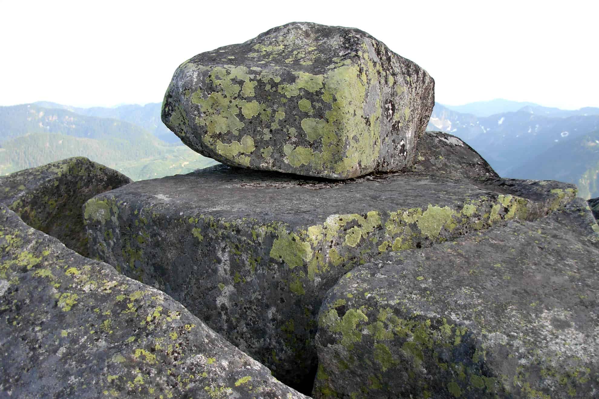 Liquenes sobre rocas de granito