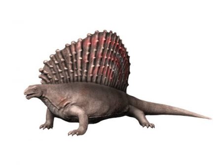 Edaphosaurus pogonias