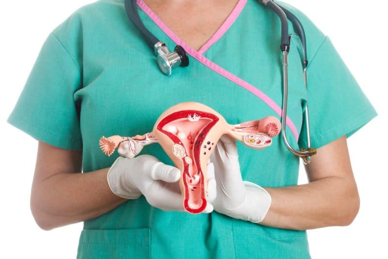 Ginecóloga con modelo de útero