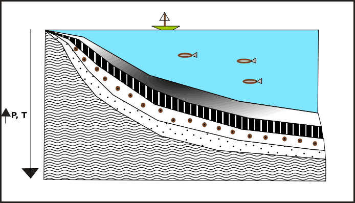 Metamorfismo por enterramiento en cuenca sedimentaria