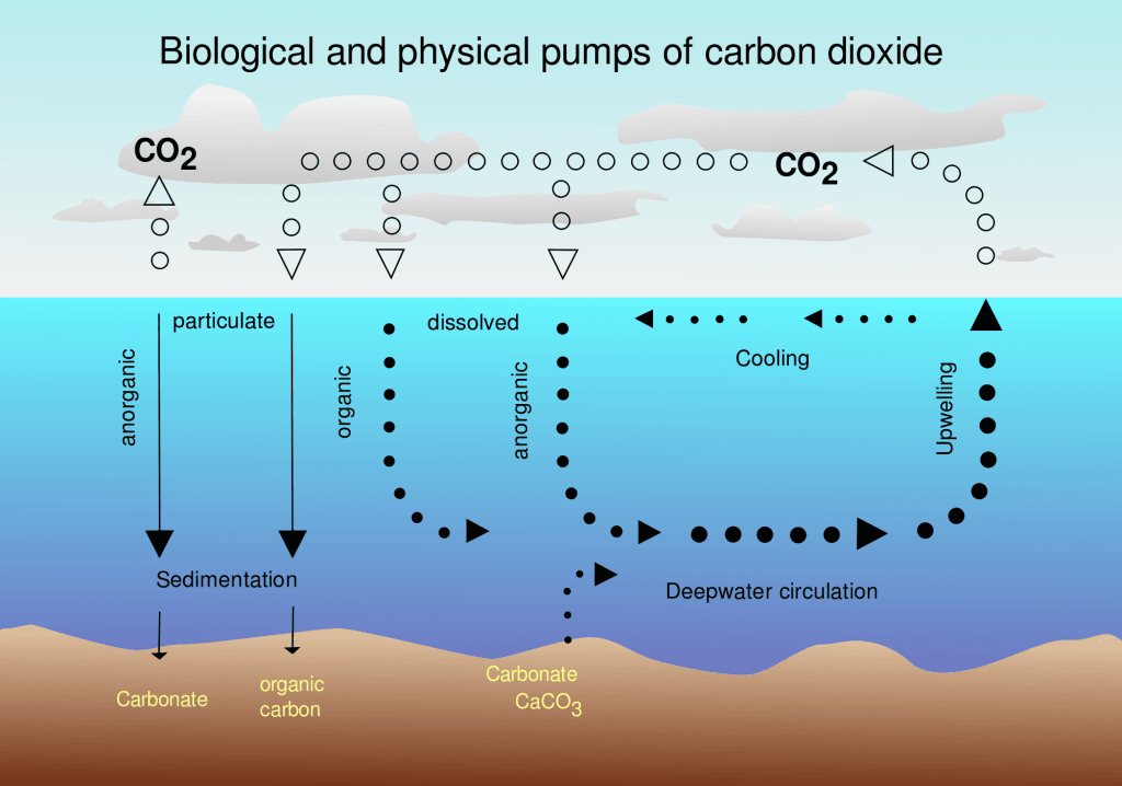 Intercambio CO2 aire-oceáno