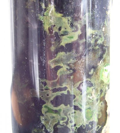 Bacterias verdes de azufre (columna Winogradsky)