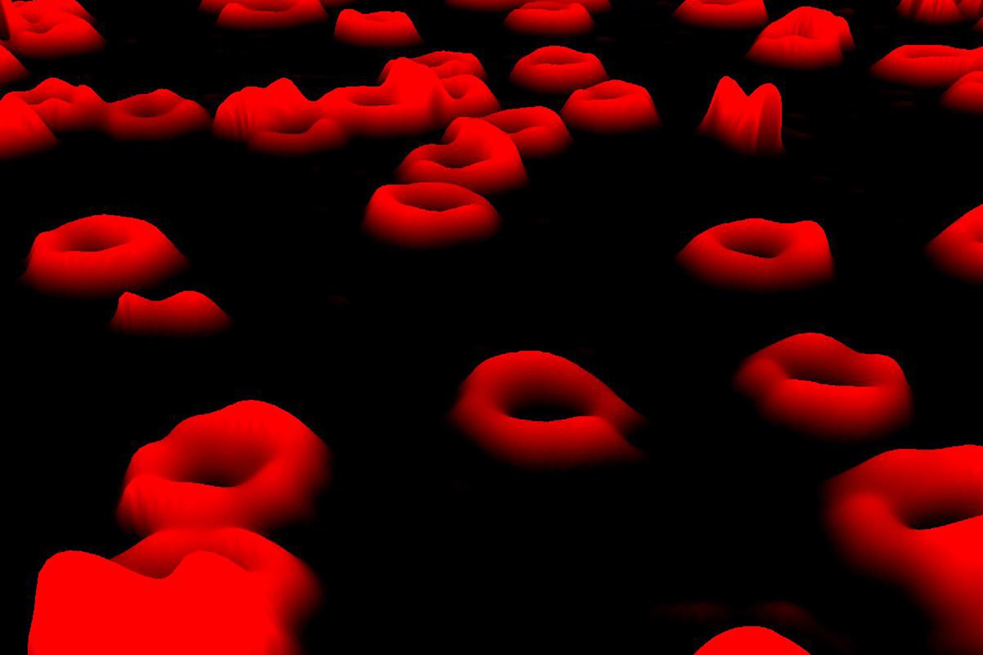 Glóbulos rojos, la células más abundante del cuerpo humano